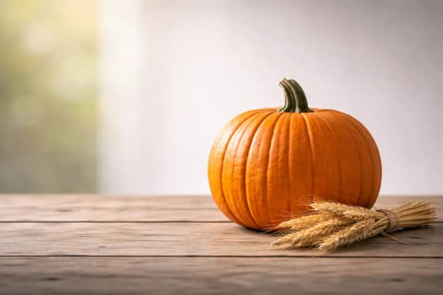 Canadian Thanksgiving - Action de grâce